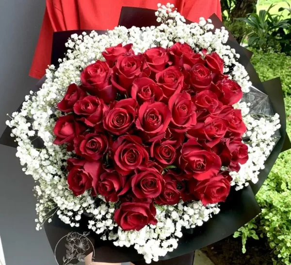 Red Roses Paradise